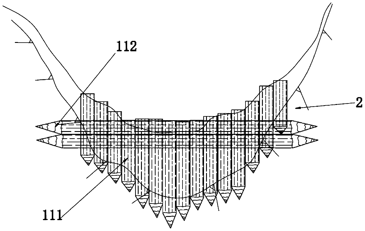 Diaphragm wall structure and ecological seepage controlling and bed fixing system