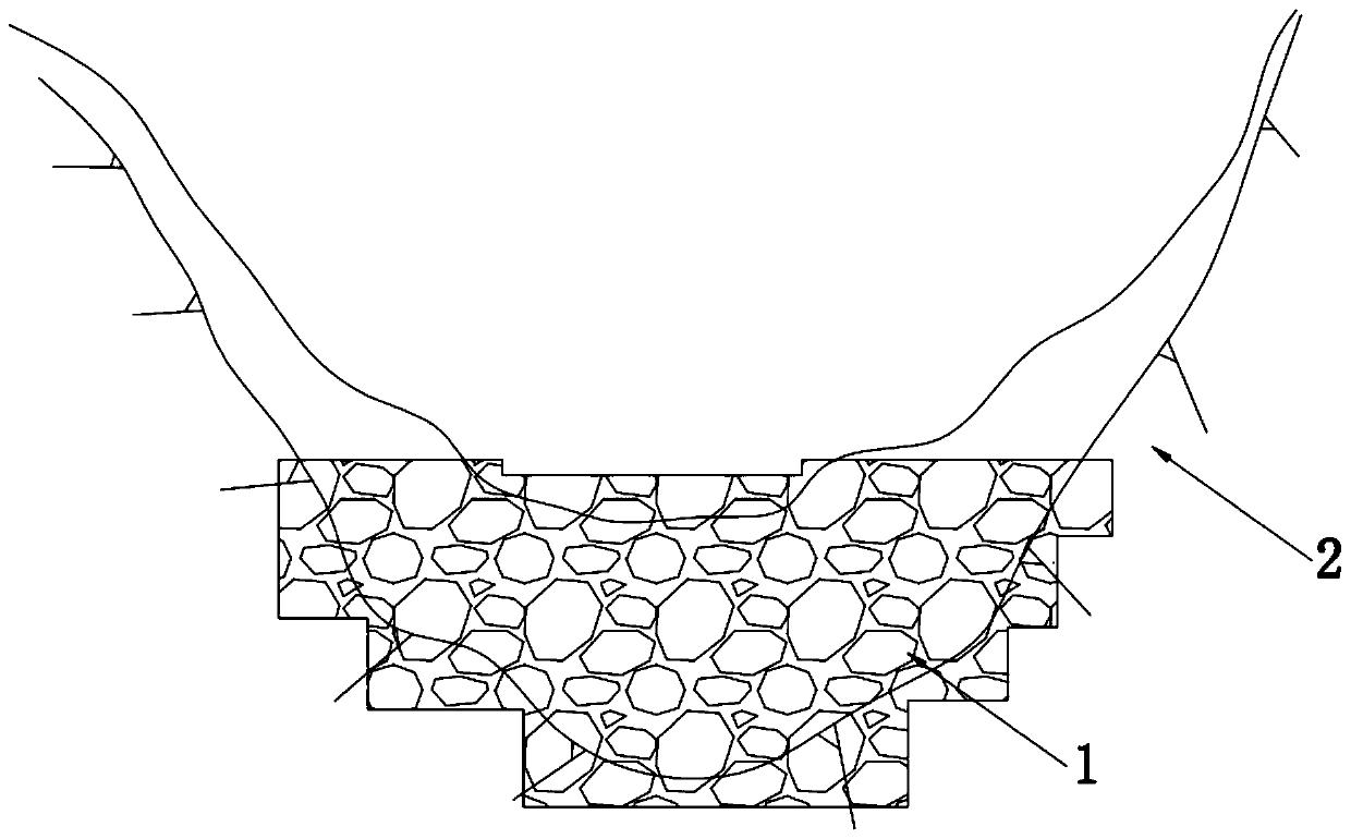 Diaphragm wall structure and ecological seepage controlling and bed fixing system