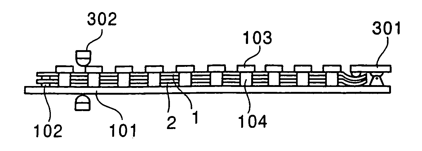 Display device having flexibility with a contact member allowing the first and second plates to be slid in the second direction