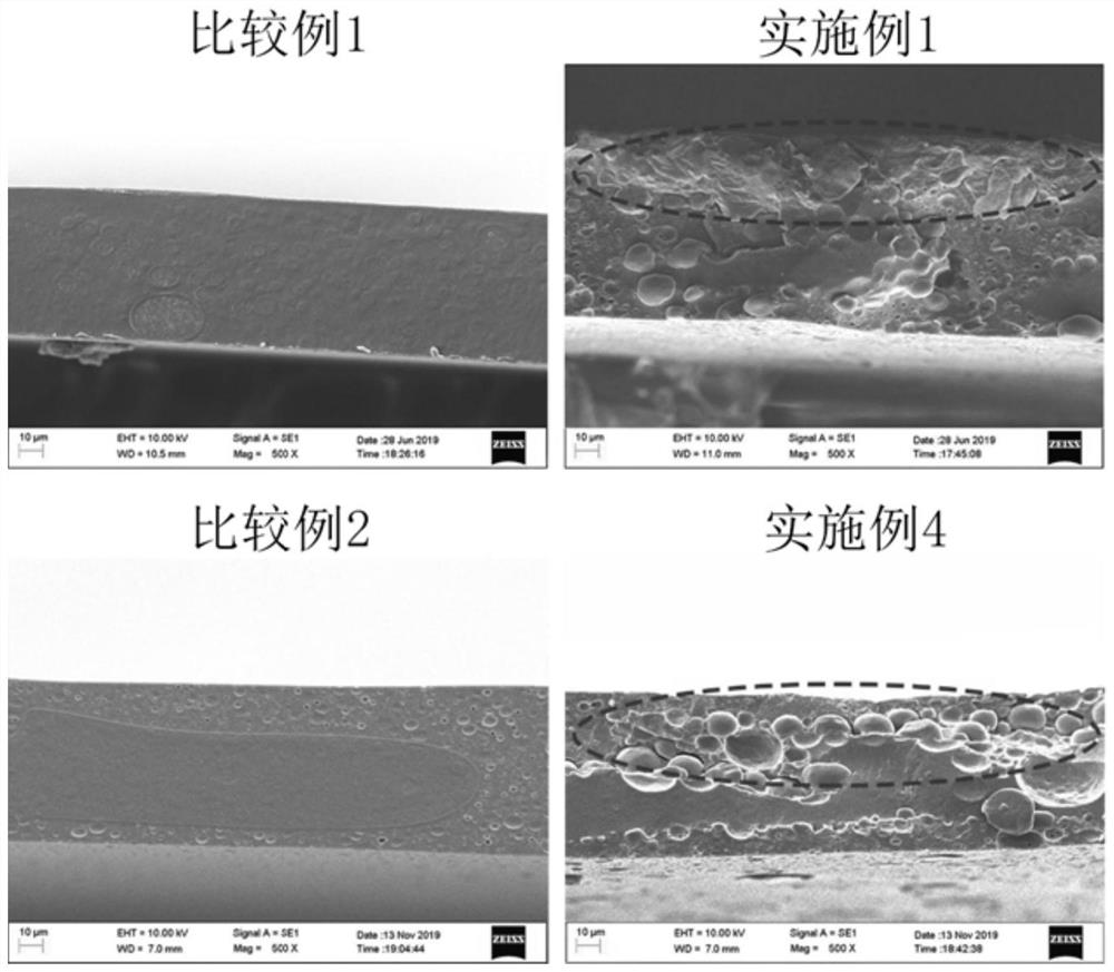 A kind of lipid-protein edible bilayer active film and preparation method thereof