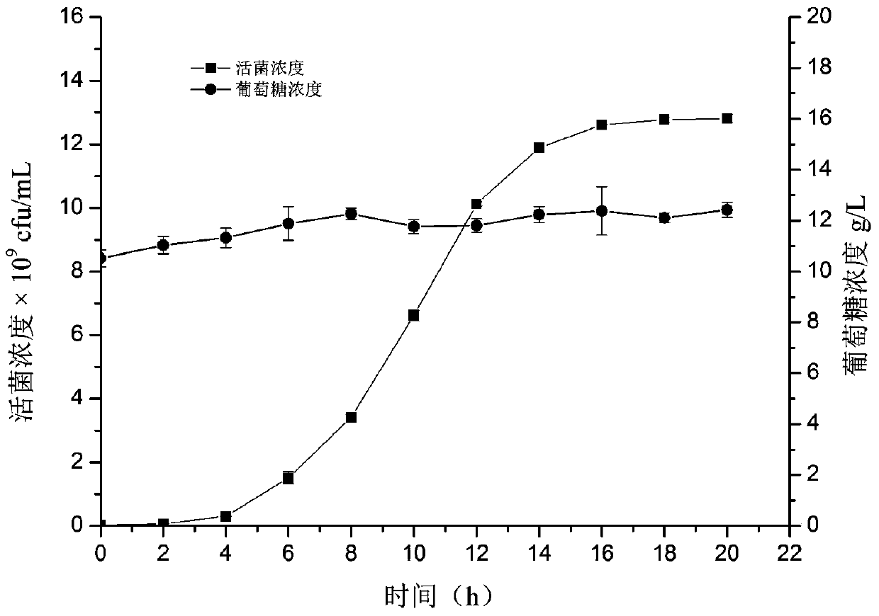 An automatic feedback feeding method for high-density culture of lactic acid bacteria