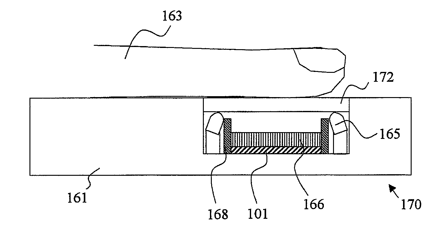 Solid-state imaging element, photo-detector and authentication system using the photo-detector
