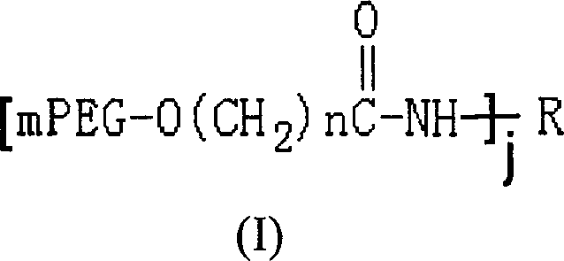 Polyethylene glycol modified L-asparaginyl amine enzyme