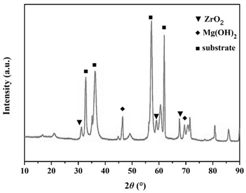 A kind of magnesium alloy surface zirconia base film and preparation method