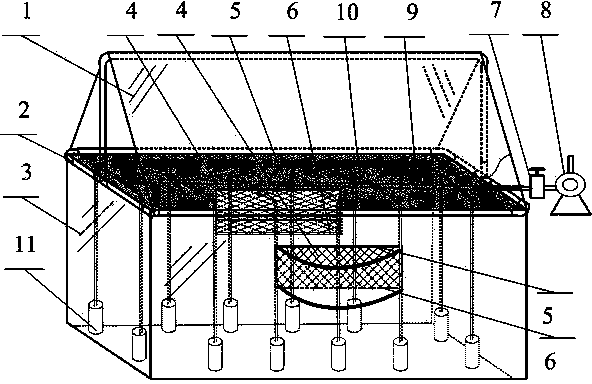 Large-scale grouper breeding device employing large outdoor fish pond