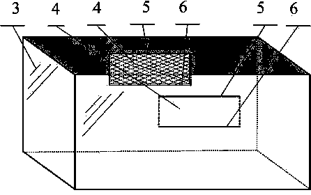 Large-scale grouper breeding device employing large outdoor fish pond