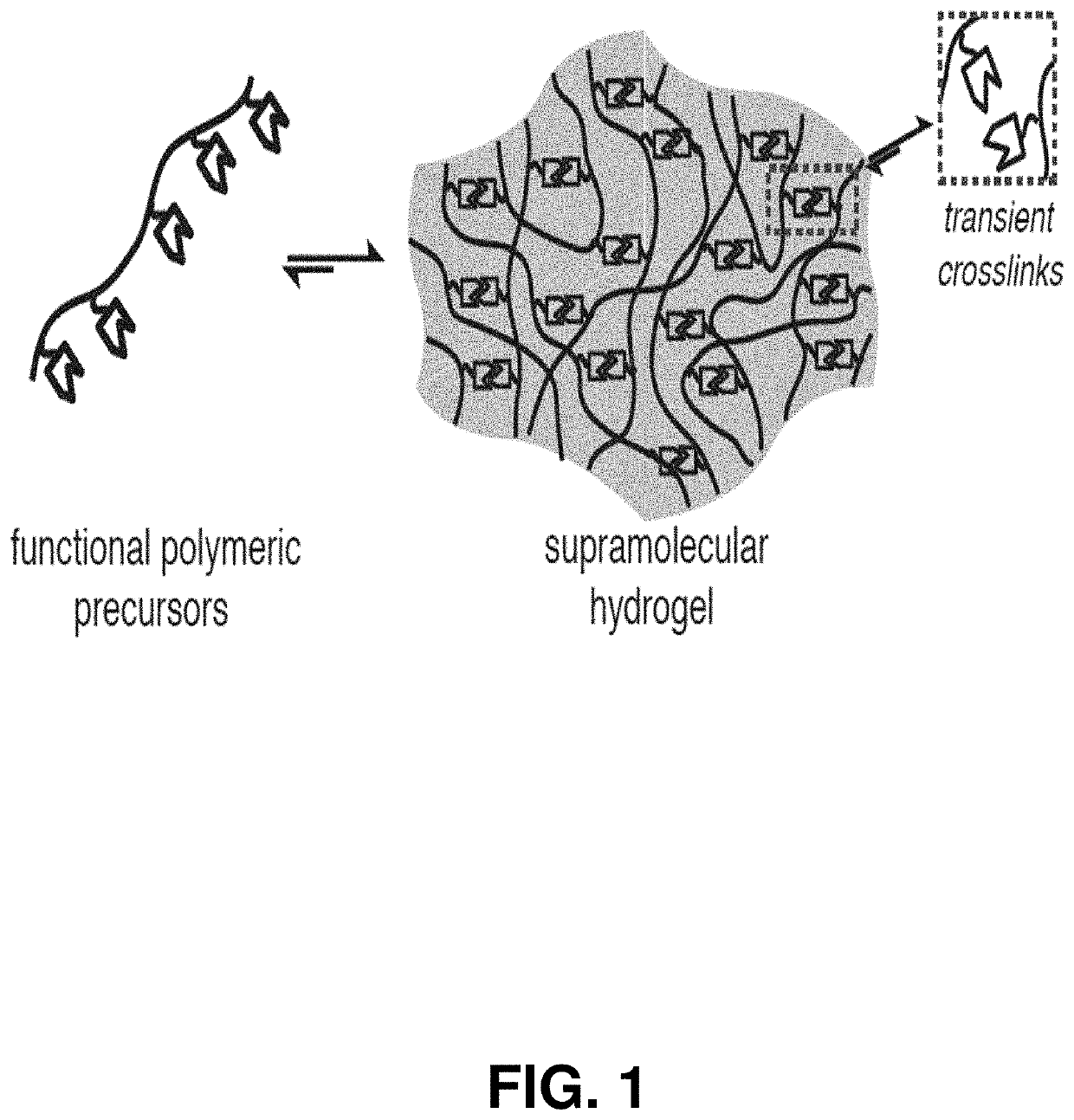 Adhesion prevention with shear-thinning polymeric hydrogels