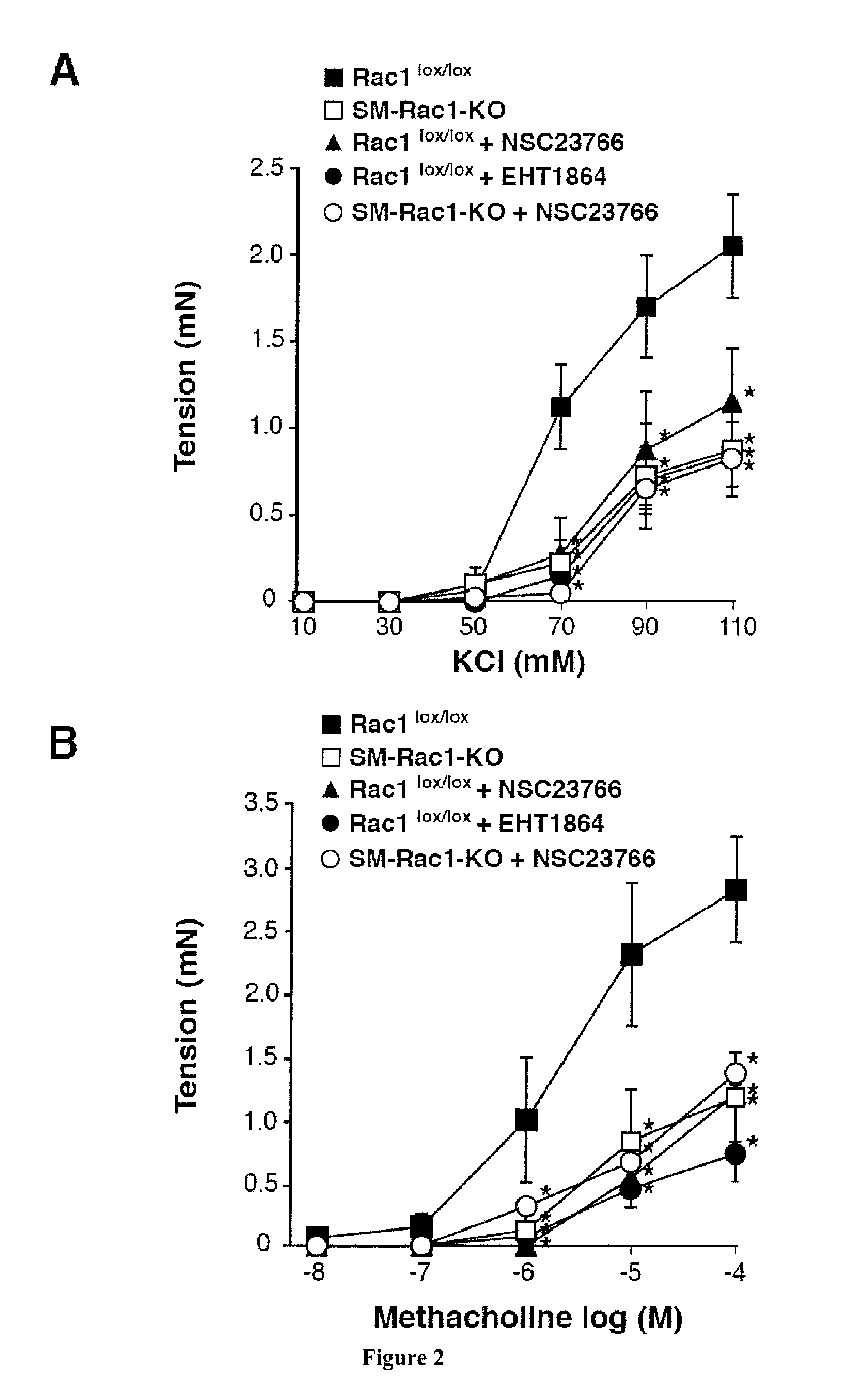 RAC1 Inhibitors for Inducing Bronchodilation