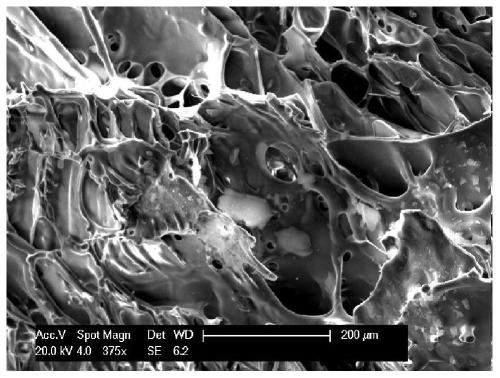 A kind of preparation method of graphene-silica airgel