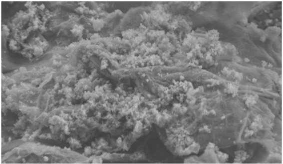 Sodium zinc phosphate/graphene enhanced waterborne epoxy amino baking varnish