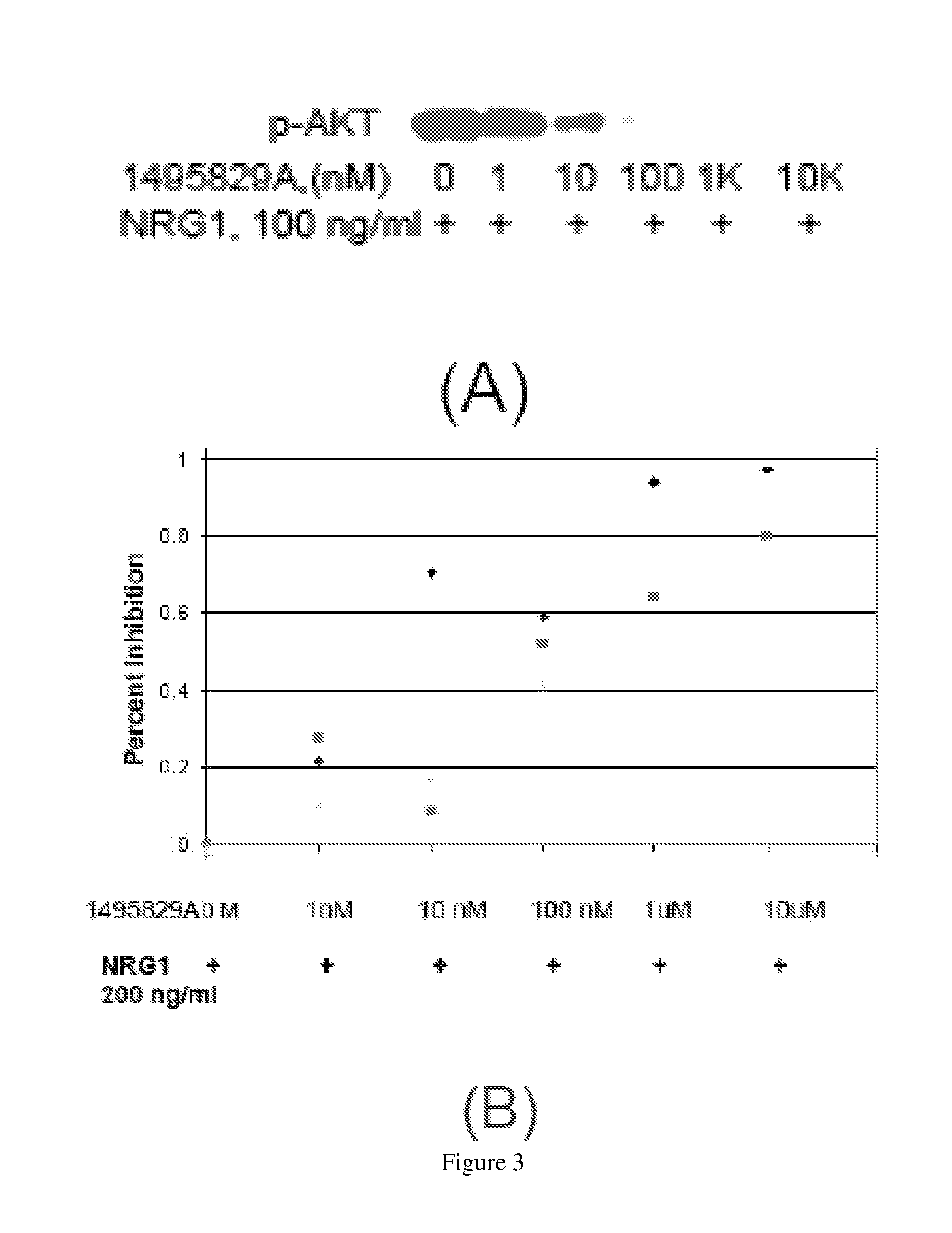 Erbb4 inhibitors and uses thereof in treatment of neuropsychiatric disorders