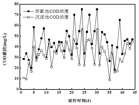 A radial flow sedimentation device