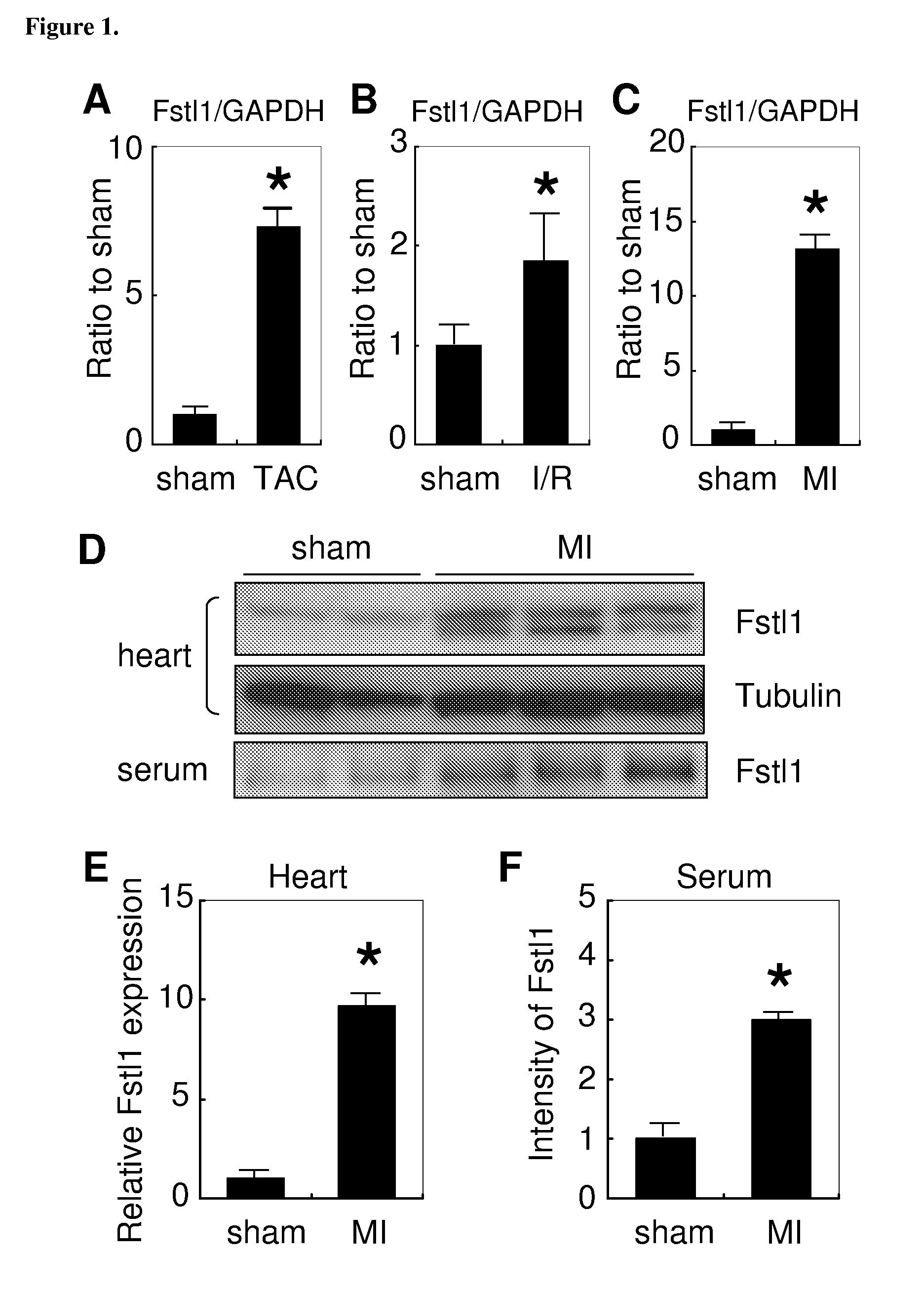 Method of treating ischemic injury with follistatin-like 1 polypeptide