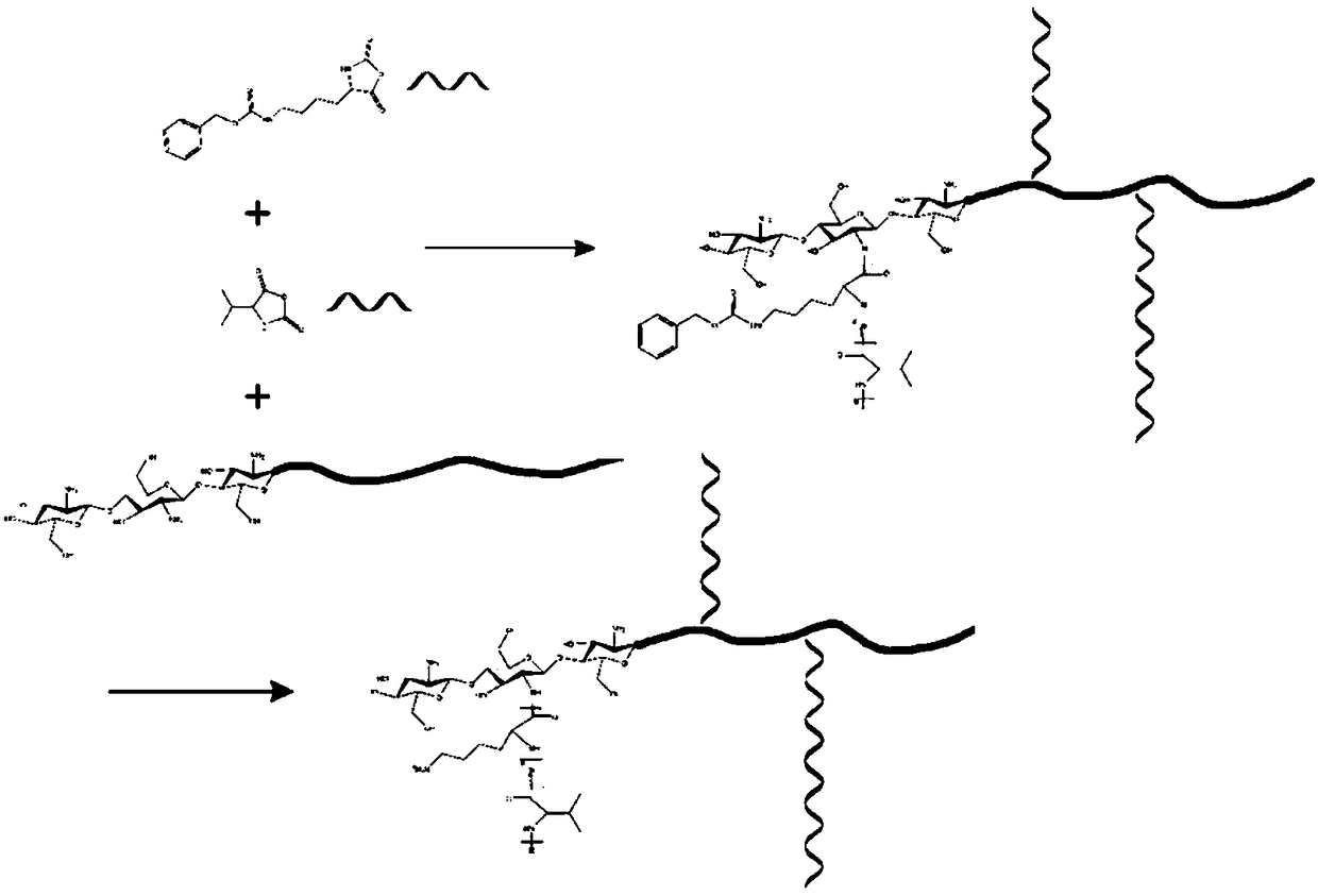 Preparation method of chitosan-g-antibacterial peptide polymer