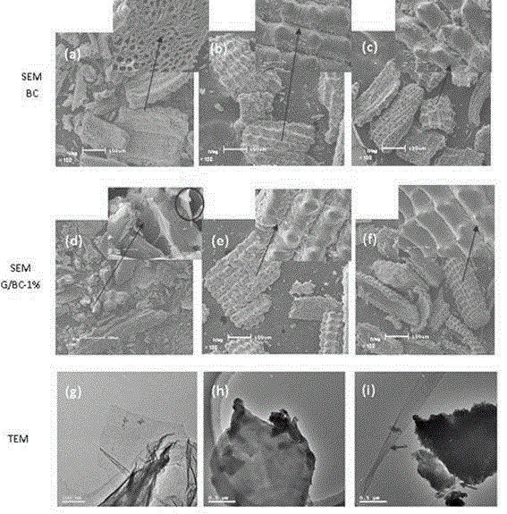 Biological carbon/graphene composite used for adsorbing organic/inorganic pollutant in water body and preparation method