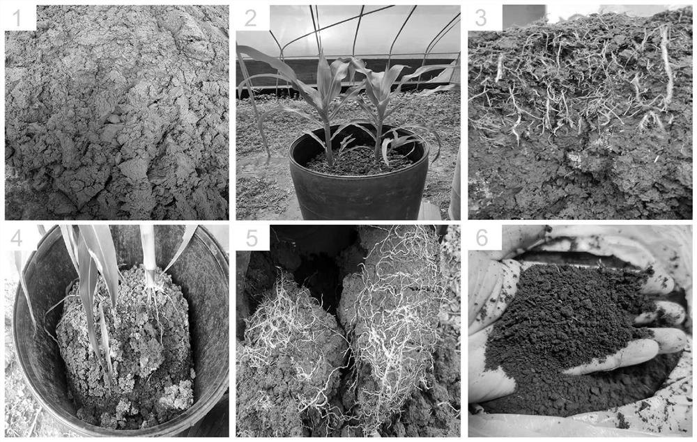 Ecological treatment method of organic solid waste and obtained organic material