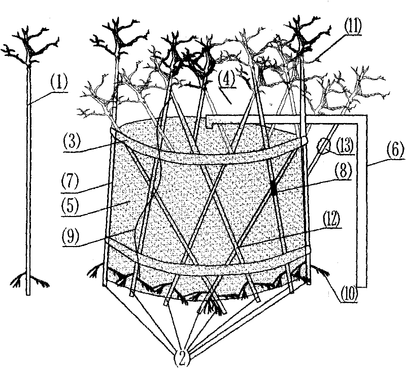 Construction method of tree aggregate