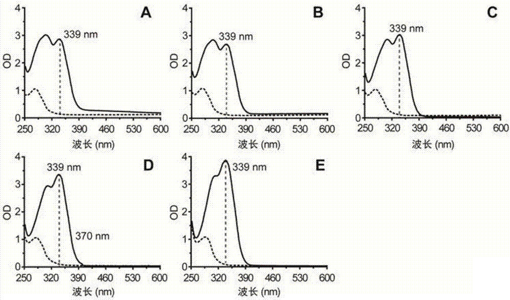 Method using ultraviolet spectroscopy to detect p-coumaric acid in high-throughput manner