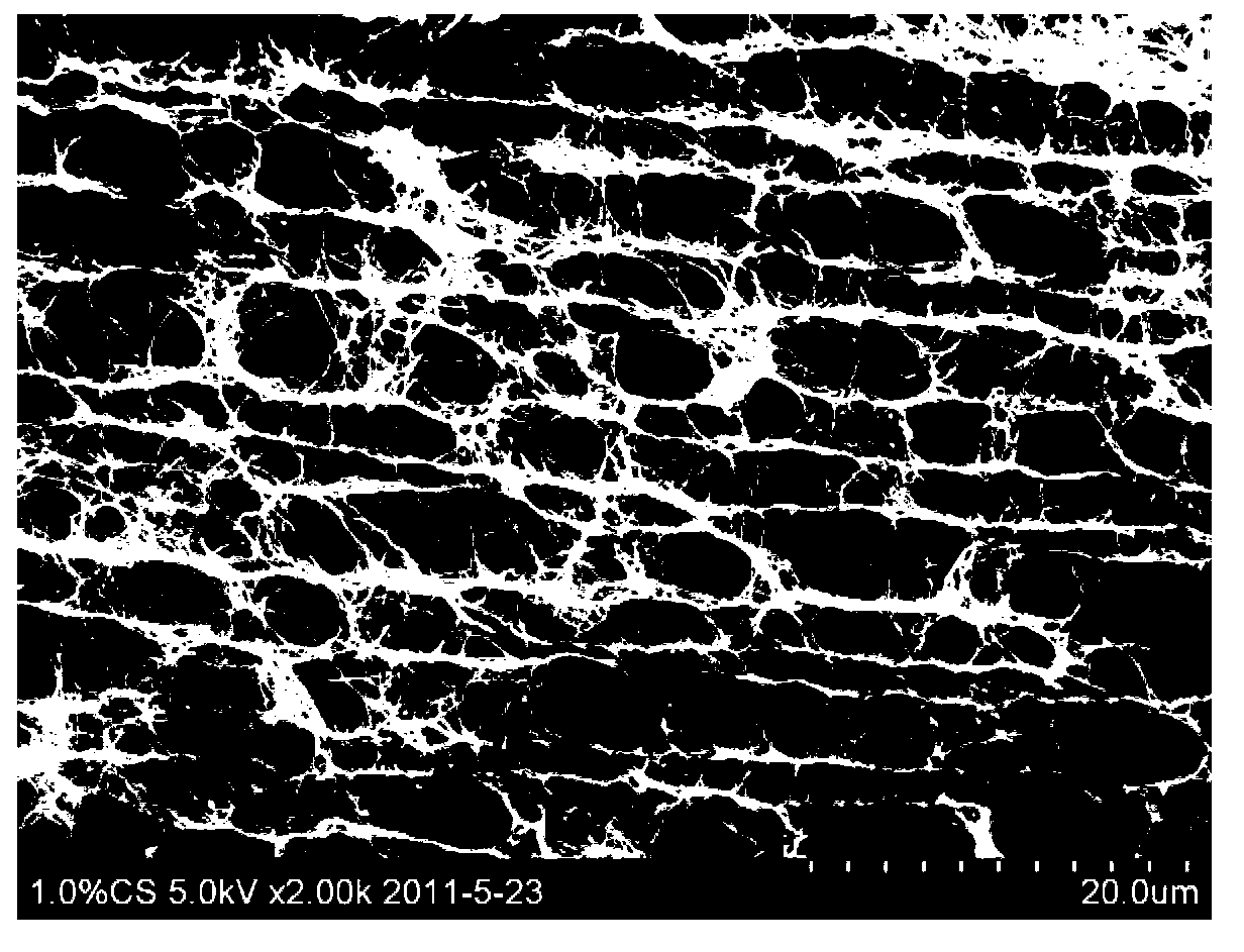 Bacterial cellulose membrane with gradient structure and preparation method thereof