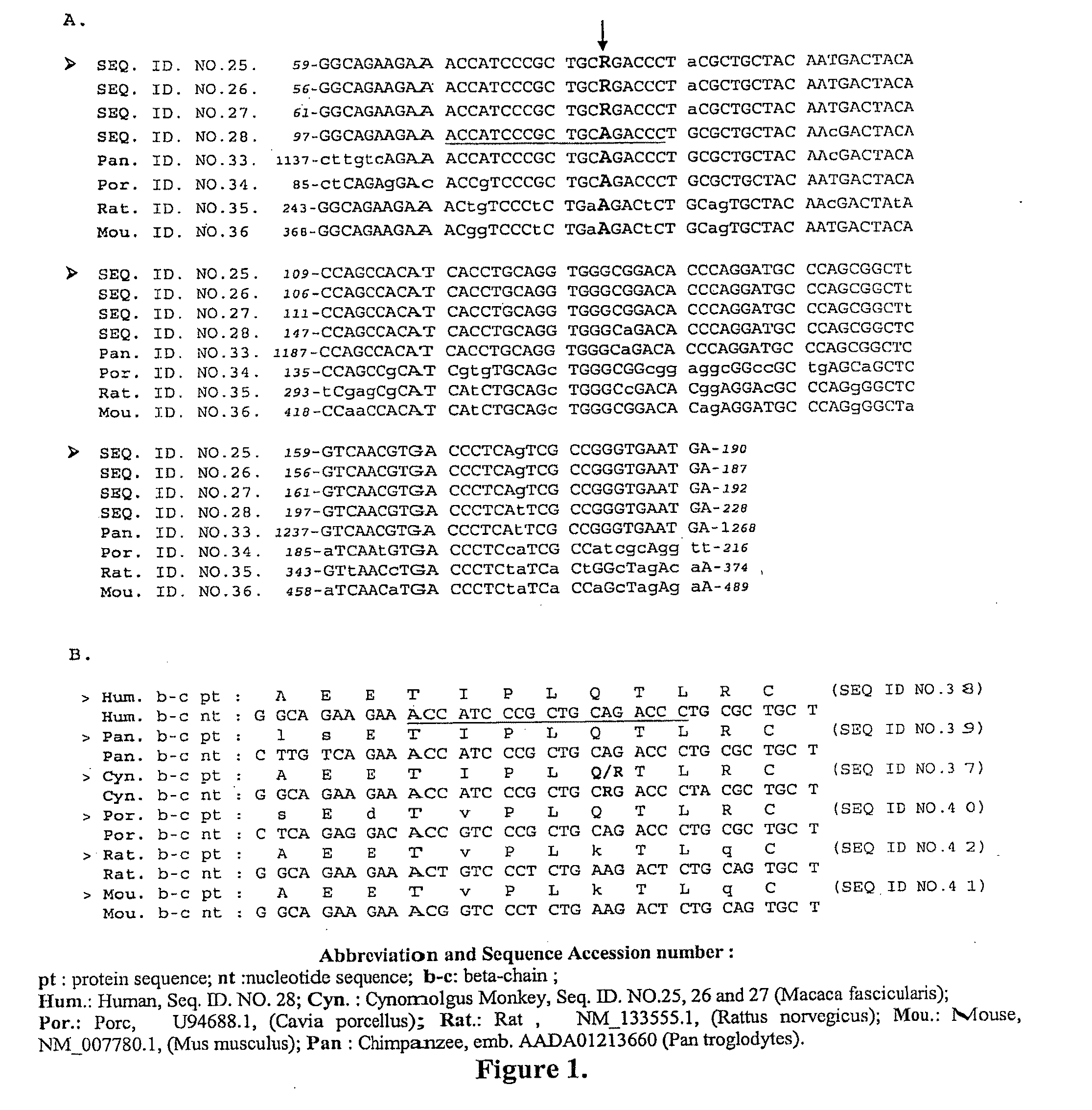 Antisense oligonucleotides for treating allergy and neoplastic cell proliferation