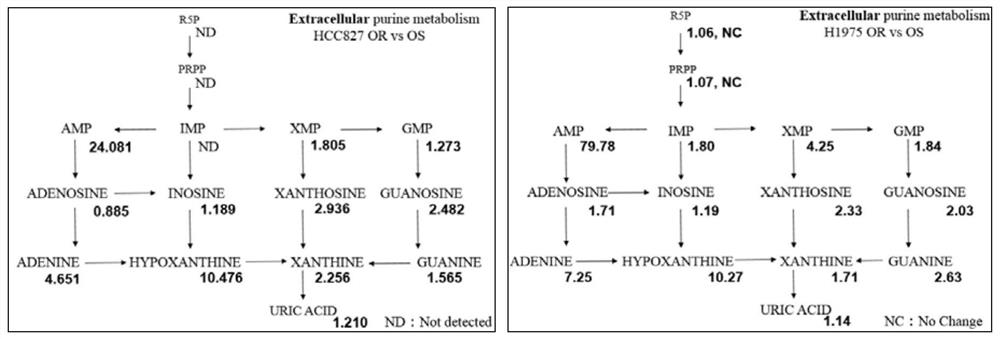 Application of purine metabolism marker in preparation of reagent for screening and diagnosing acquired drug resistance of lung cancer molecular targeted drug