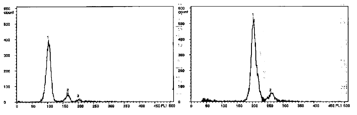 Method for batch induction of scophthalmus maximus tetraploid fries