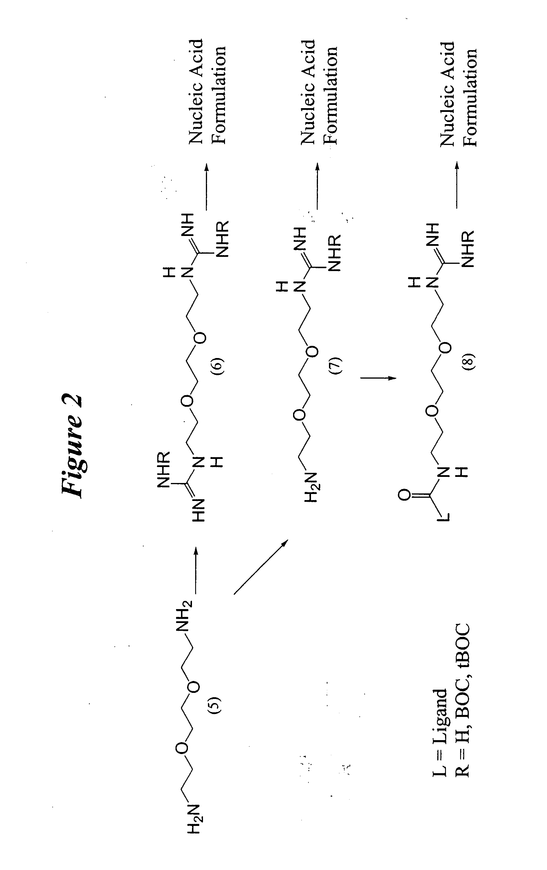 Polycationic compositions for cellular delivery of polynucleotides