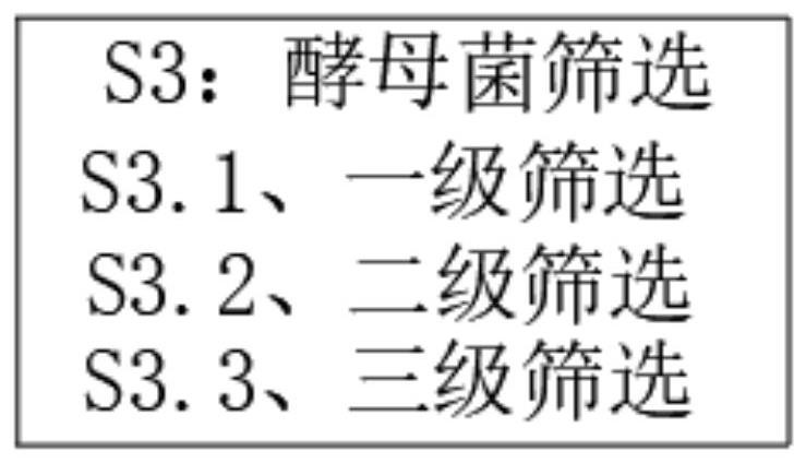 Loquat primary pulp beer yeast fermentation method