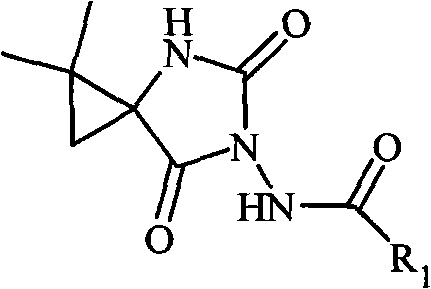 N-3-aramid-5-cyclopropane spiro hydantoin derivative, preparation method and application thereof