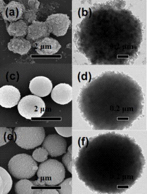 Preparation method of a graphene quantum dot/vanadium-doped mesoporous titanium dioxide composite photocatalyst