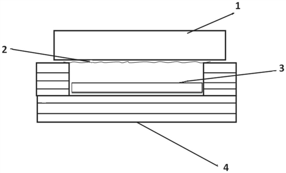 A kind of amorphous carbon/nano-micron network film and preparation method thereof