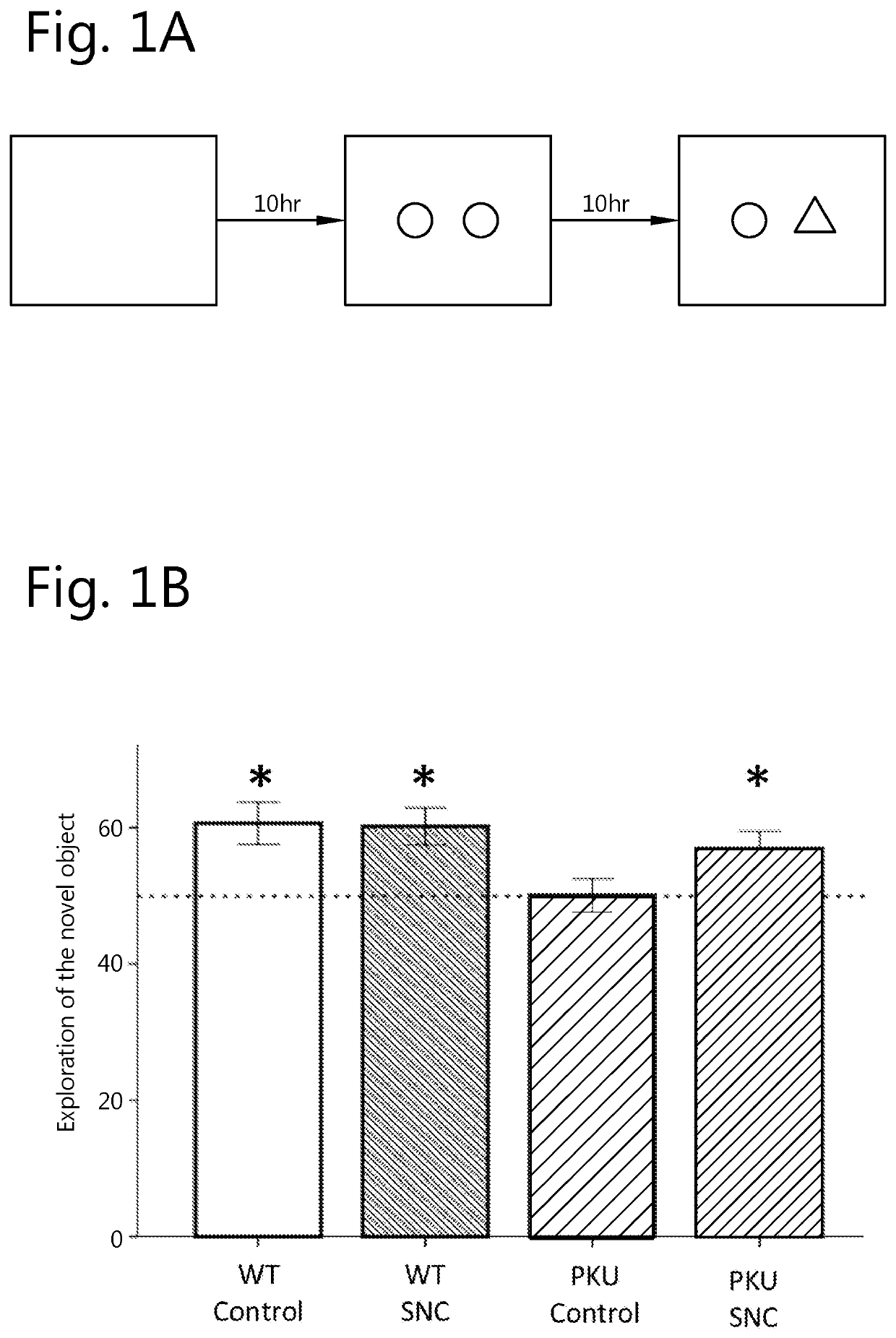 Method for improving recognition and/or working memory in hyperphenylalanimenia and phenylketonuria patients