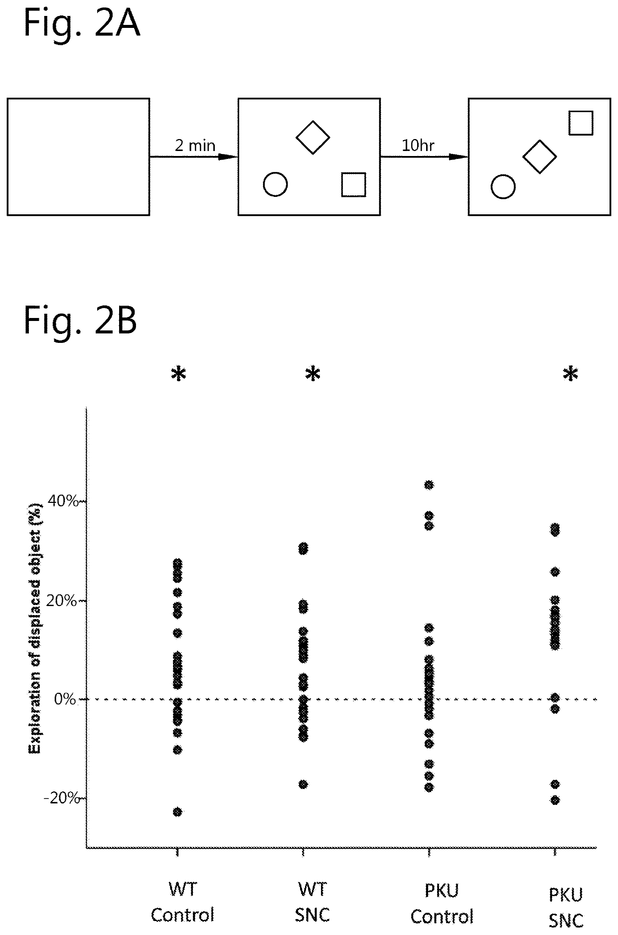 Method for improving recognition and/or working memory in hyperphenylalanimenia and phenylketonuria patients