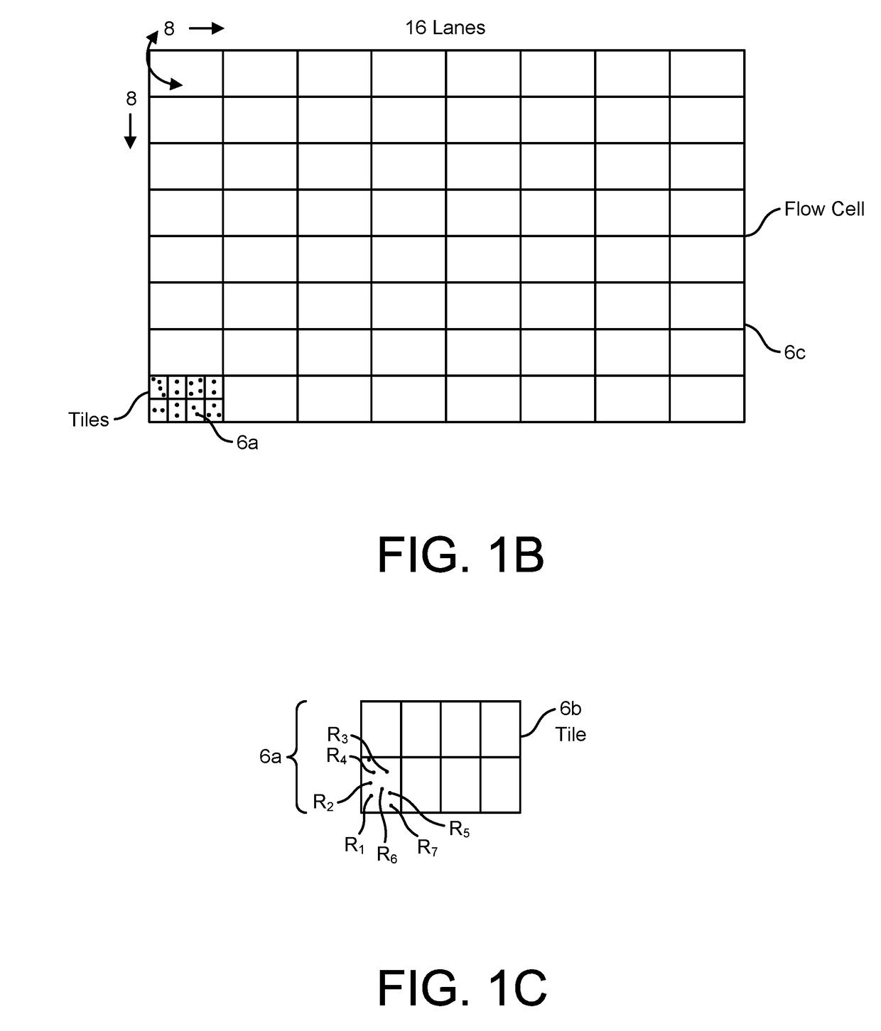 Bioinformatics systems, apparatuses, and methods for performing secondary and/or tertiary processing