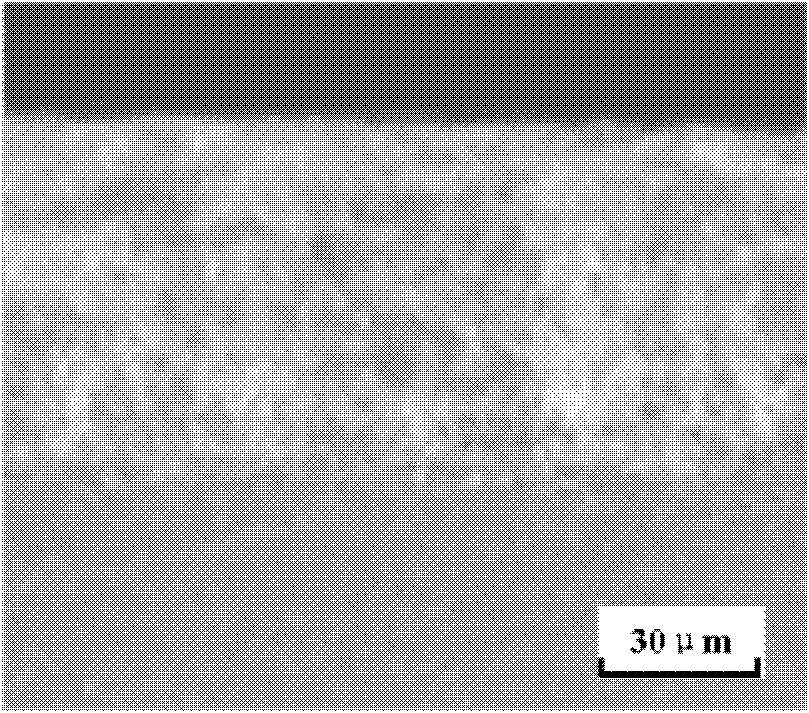 AM60 magnesium alloy surface heavy-layer treatment method