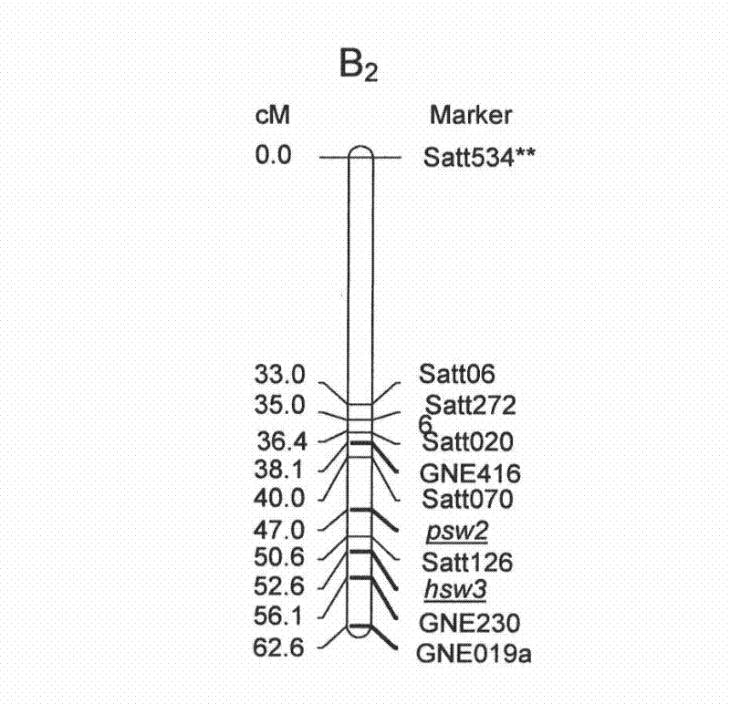 A pair of special primers for assisted evaluation of relevant locus of soybean seed weight and method thereof