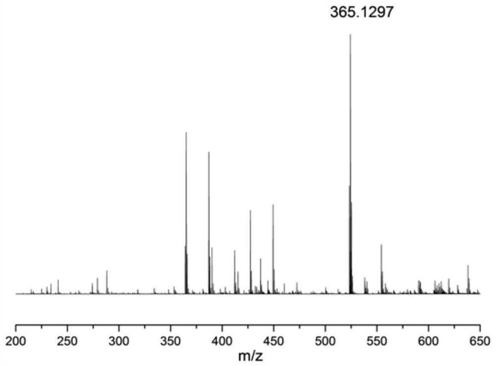 Phenol amine antioxidant as well as preparation method and application thereof