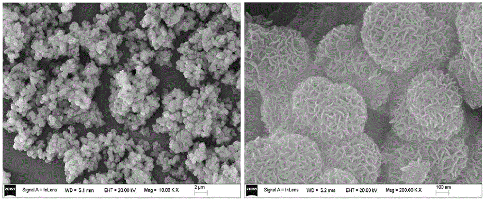 Nickel-titanium dioxide-carbon trinary nano composite catalyst and preparation method thereof