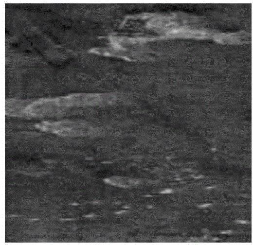 Polarized SAR image speckle noise reduction method based on natural gradient of PID