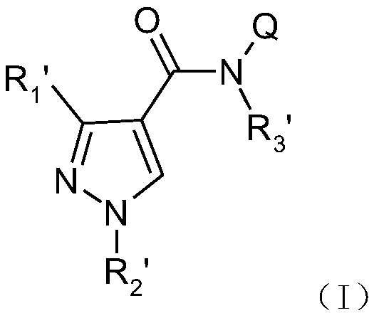 A class of pyrazole amide derivatives, its preparation method and application