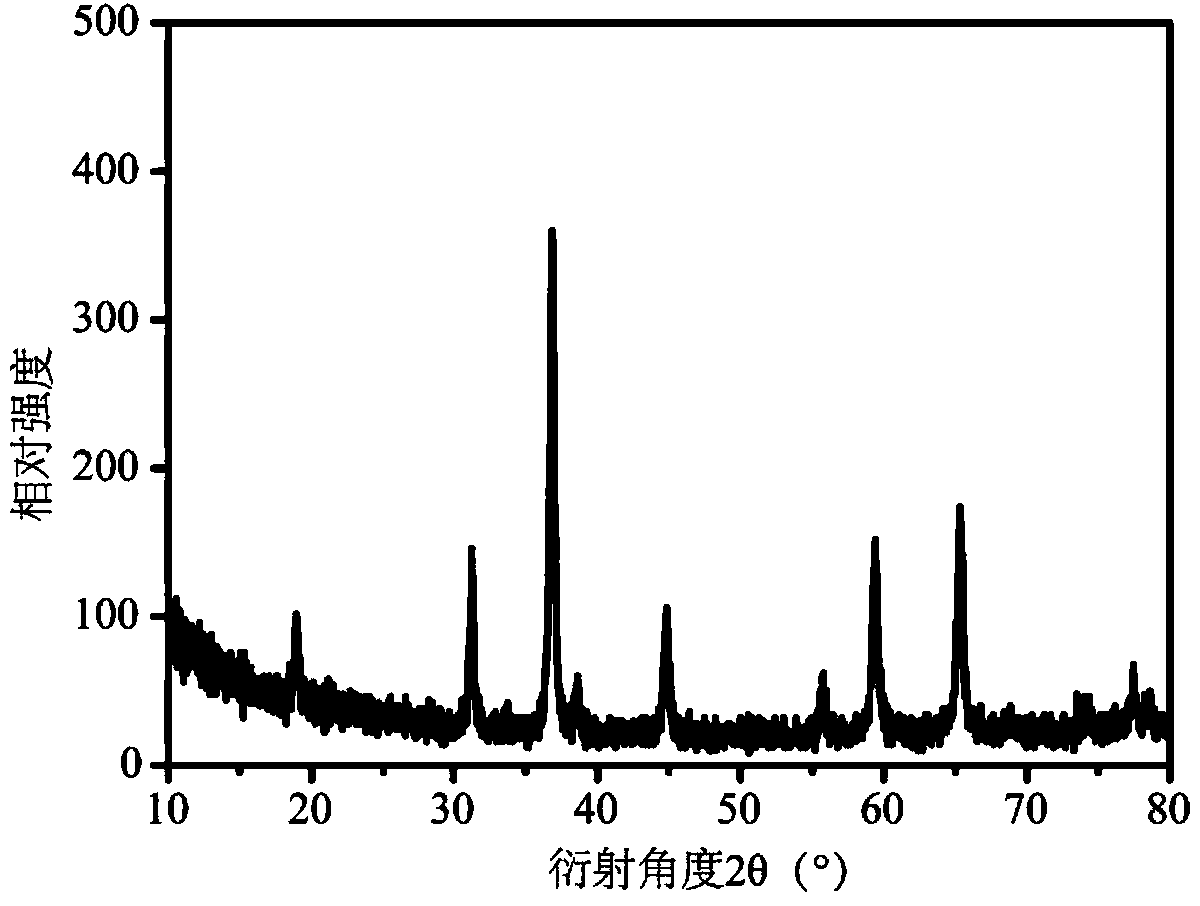 Porous cobalt oxide nanowire, and preparation method and application thereof