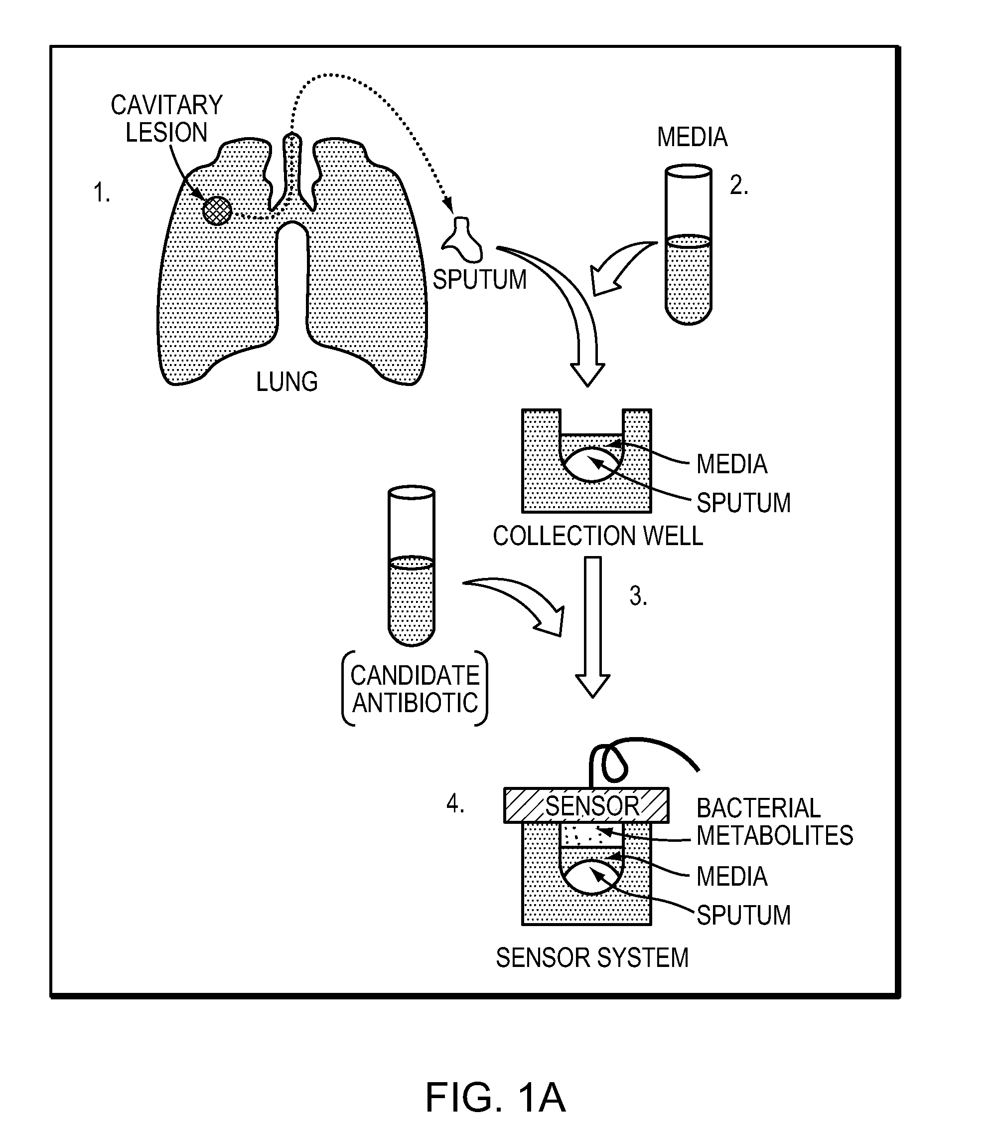 Rapid detection of volatile organic compounds for identification of bacteria in a sample