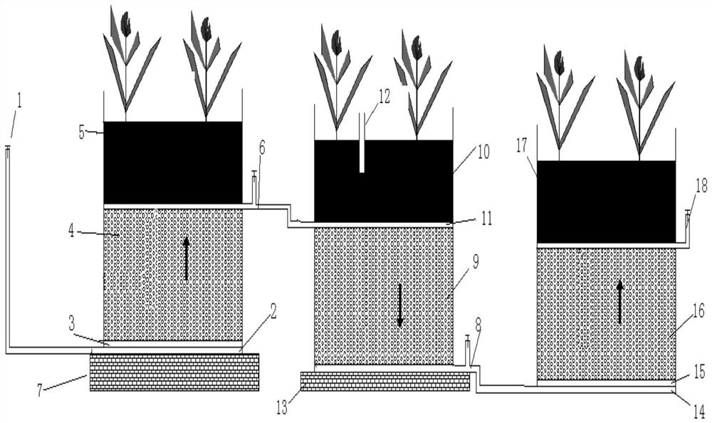 Vertical flow constructed wetland and method for treating nitrogen, phosphorus and tetracyclines in sewage
