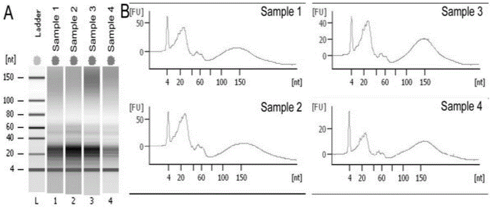 Internal reference for real-time quantitative PCR detection of serum and plasma miRNA