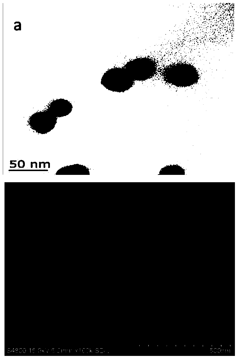 A preparation method of chitosan-graphene/gold nanoparticles@carbon nanotube ion imprinted sensor