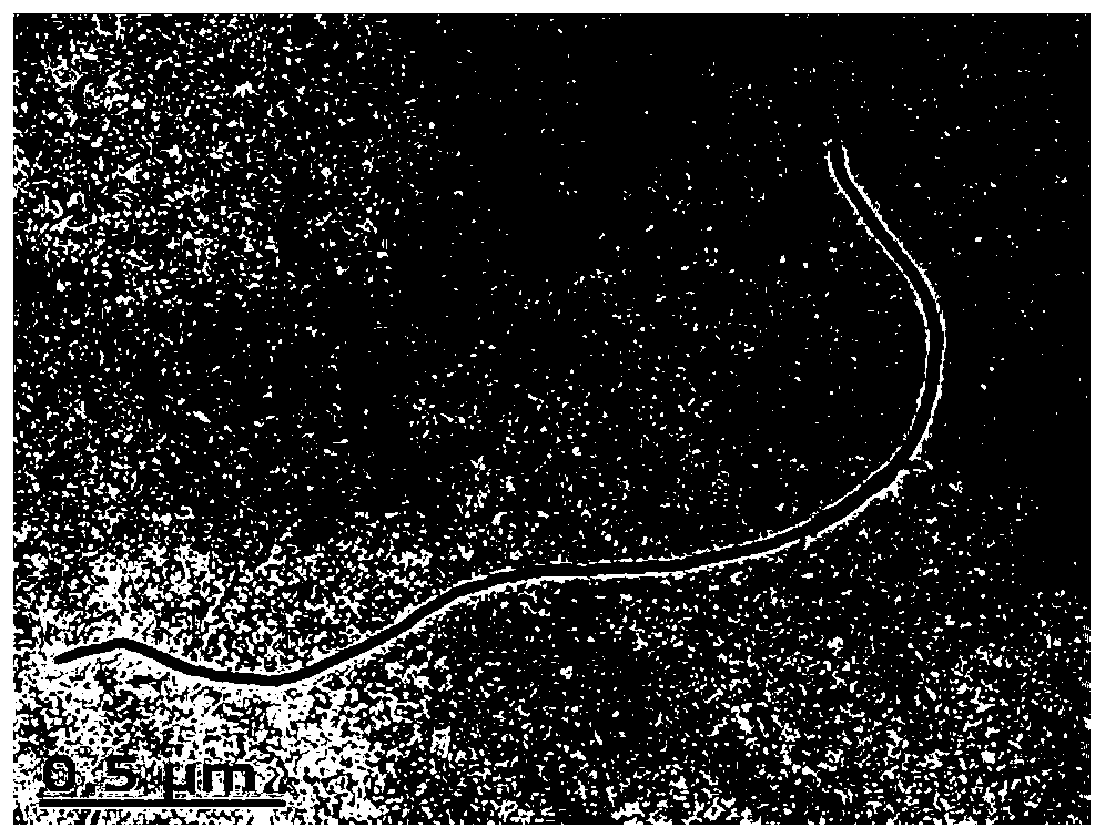 A preparation method of chitosan-graphene/gold nanoparticles@carbon nanotube ion imprinted sensor