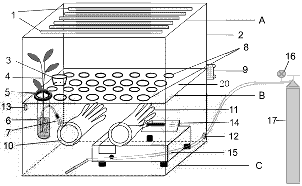 A device and application for simultaneous detection of plant photosynthesis and root oxygen secretion capacity