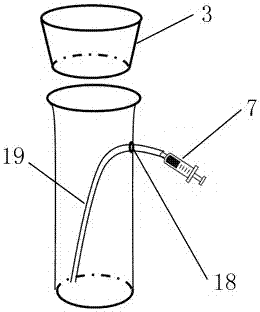 A device and application for simultaneous detection of plant photosynthesis and root oxygen secretion capacity