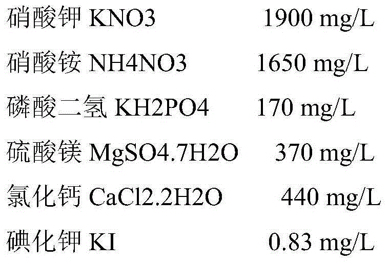 Carya illinoensis cell embryo tissue culture method