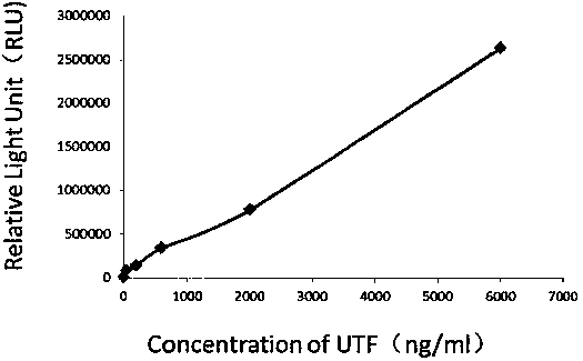 Kit for detecting urine transferrin through chemiluminescence enzyme immunoassay method, and preparation method thereof